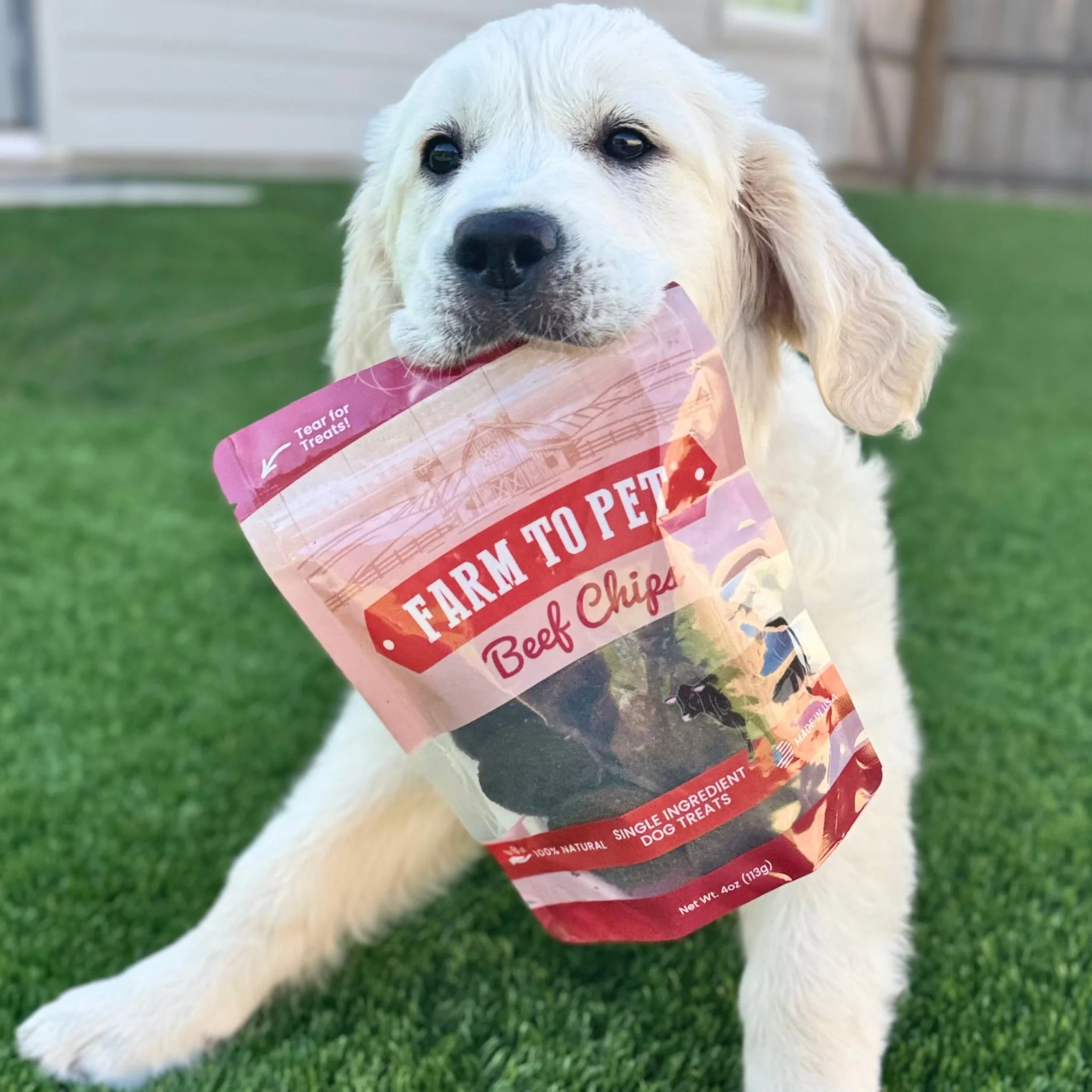 Beef Chips Dog Treats | Single-Ingredient Healthy Treats for Dogs - Image 10