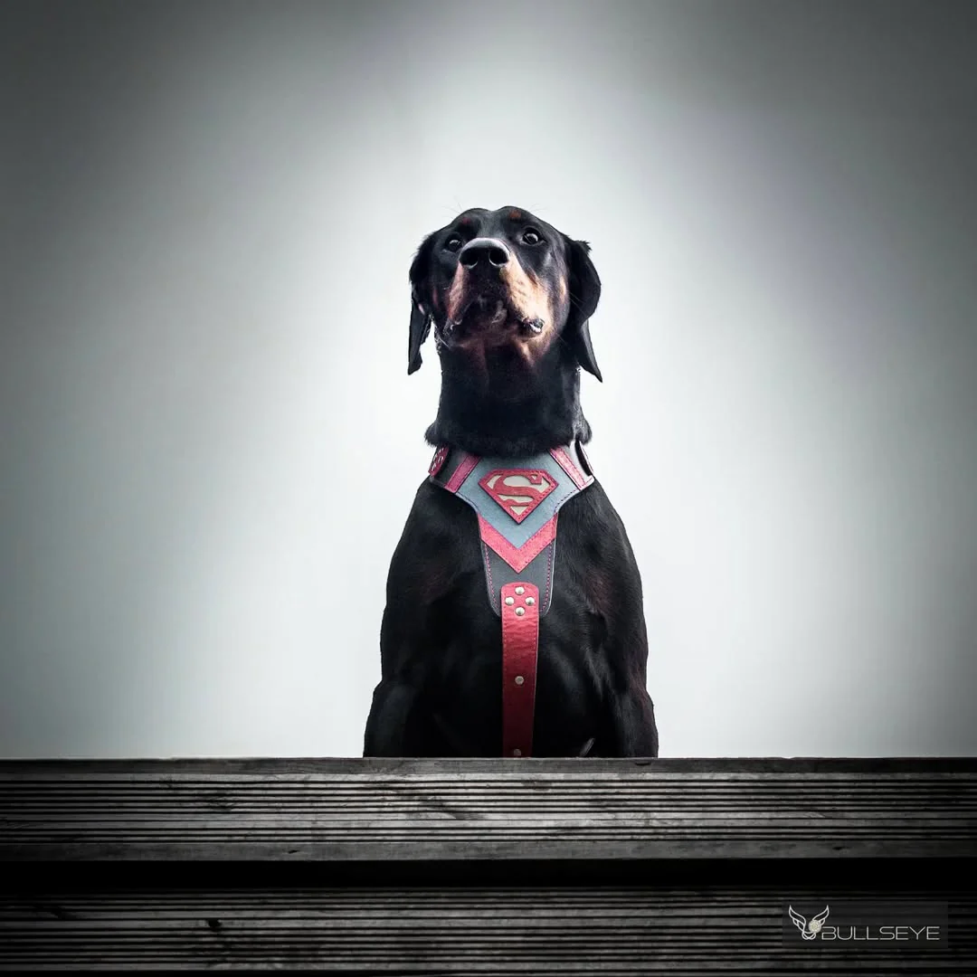 Superdog Harness - Image 4