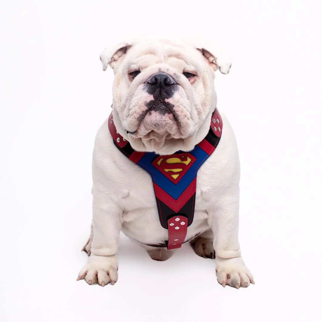 Superdog Harness Medium Size - Image 3