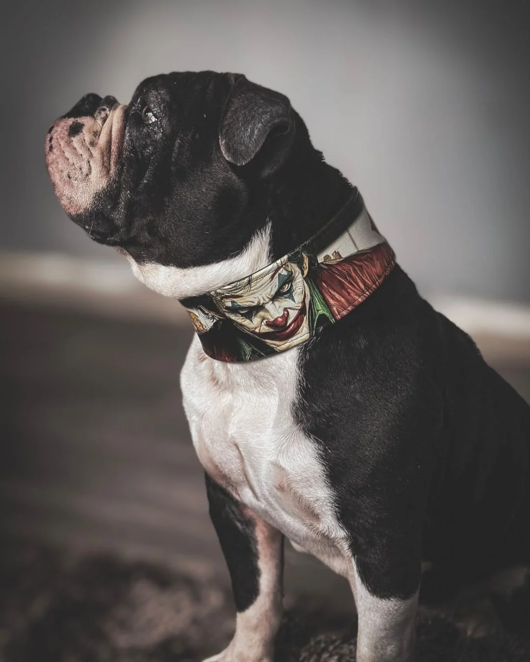 The Joker Limited Collar - Image 8