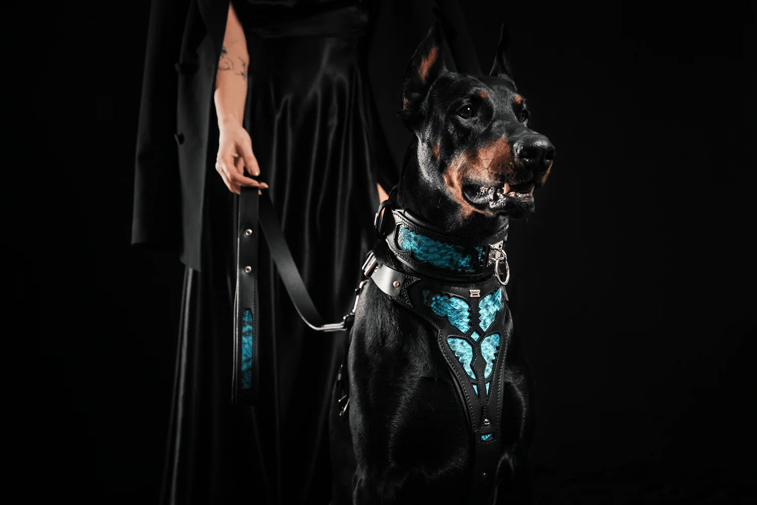 The ''Morelia Python'' leash - Image 5