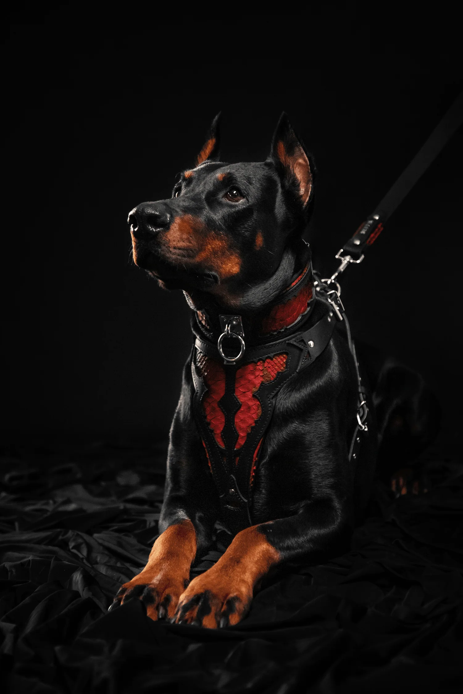 The ''Red Dragon'' collar - Image 3